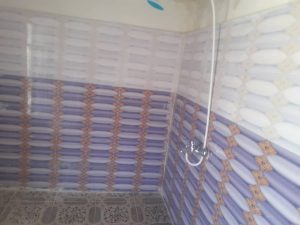 اولین سرویس بهداشتی- دو